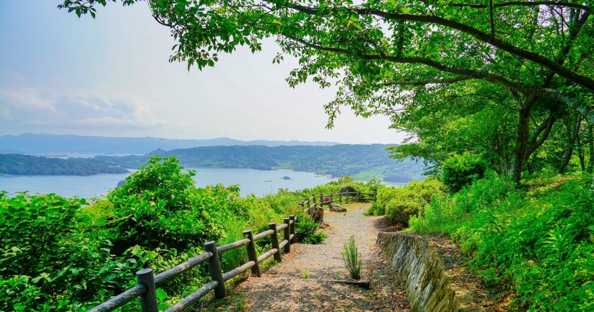 展望台から見渡す新緑と有明海の絶景