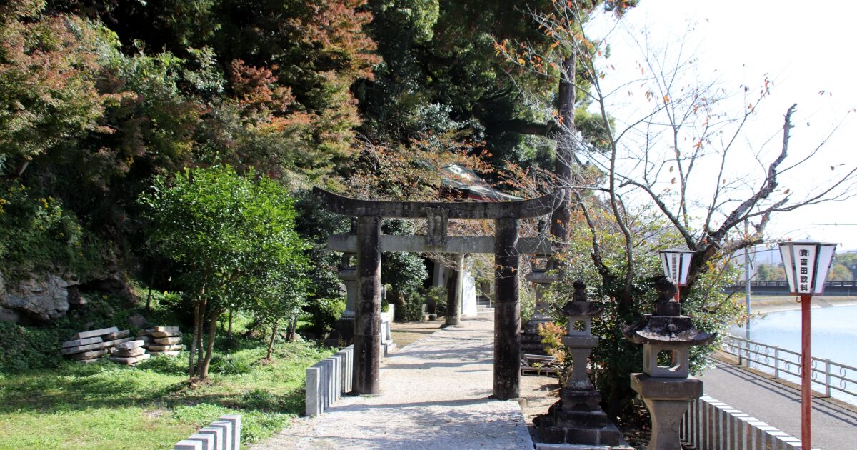 鳥居と石灯籠が並ぶ神社の参道