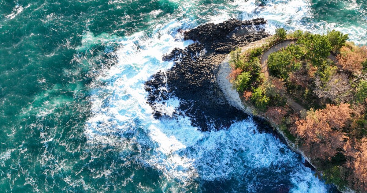 荒々しい波が打ち寄せる黒い岩場と緑の岬の空撮風景