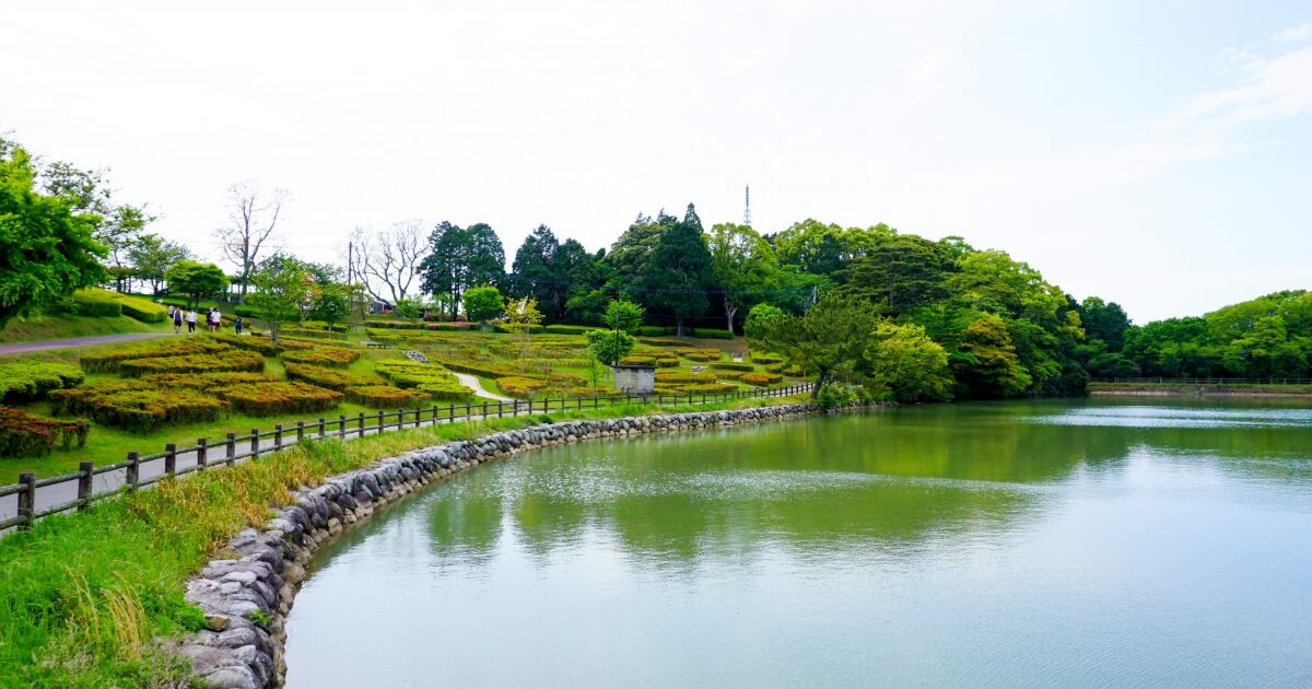 緑豊かな水辺と遊歩道が広がる神田公園