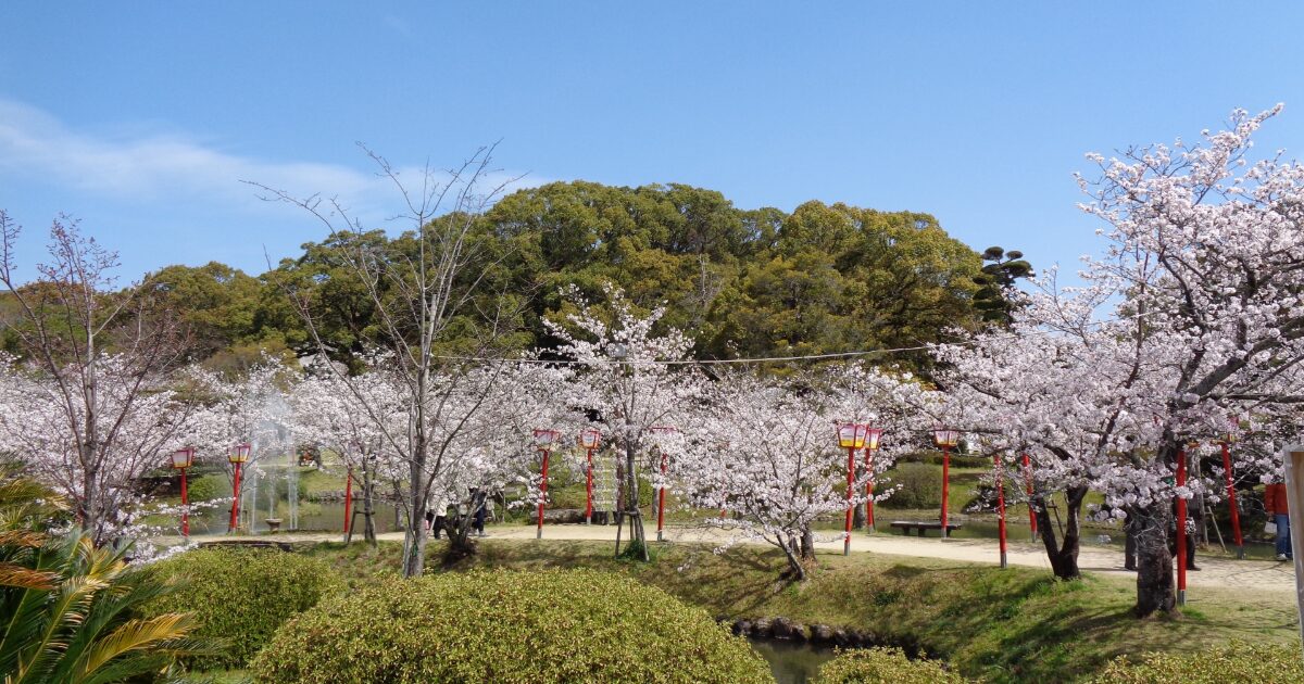 桜並木と赤い灯籠が並ぶ日本庭園の春風景