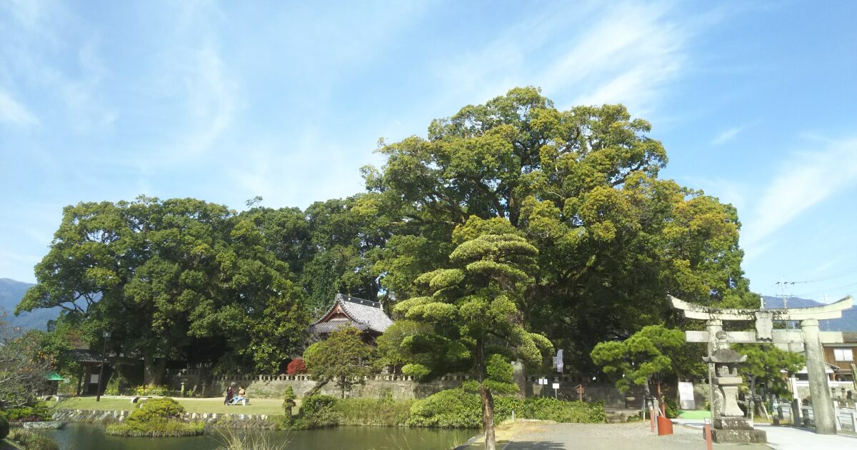 神社と大楠のある日本庭園の風景