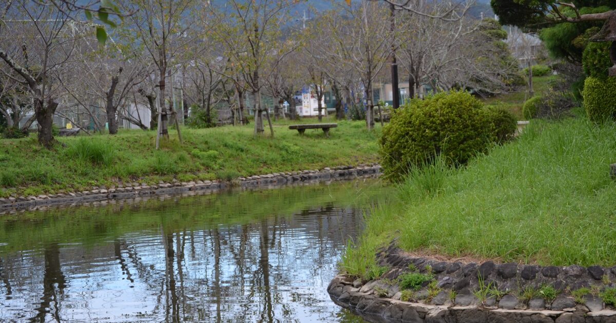 池のほとりに並ぶ木々とベンチのある静かな公園