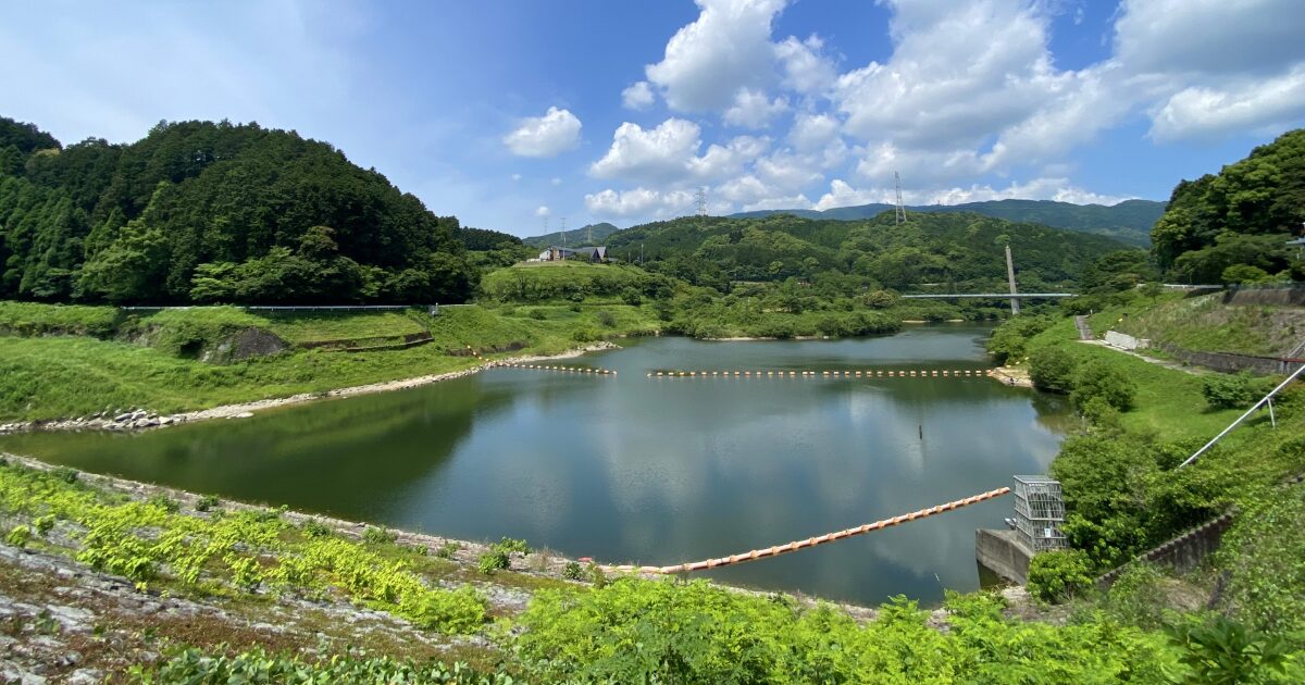 緑に囲まれたダム湖と吊り橋の風景