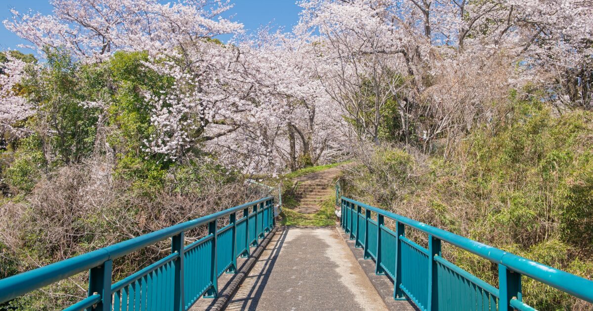桜並木へと続く小さな橋と階段
